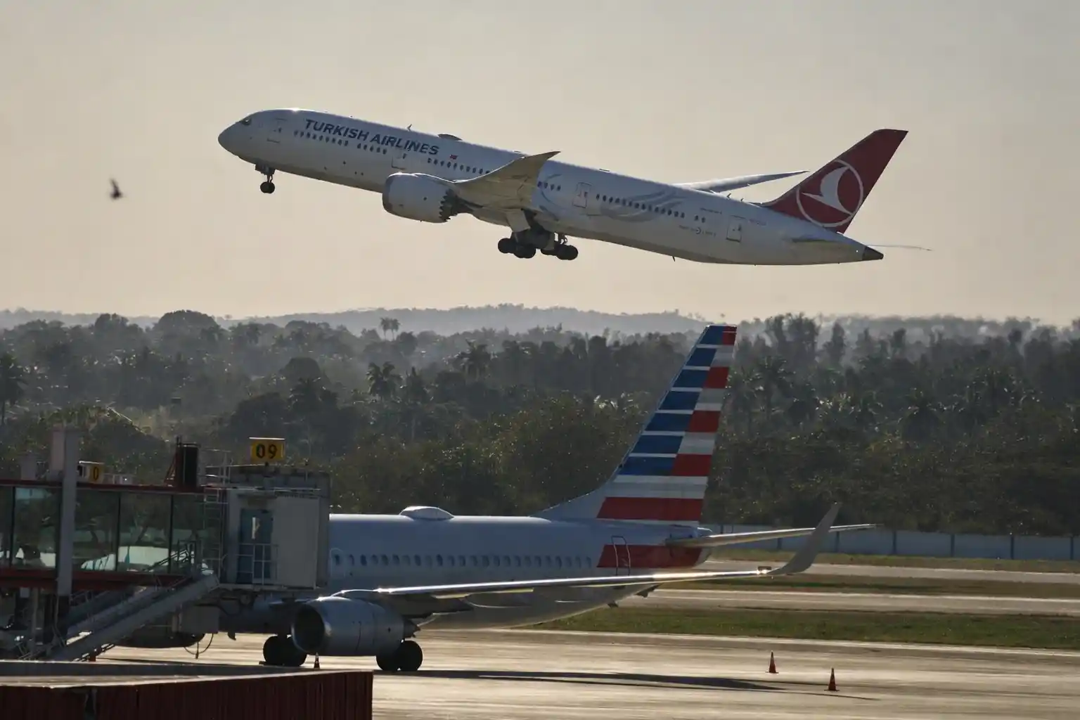 Turkish Airlines flight taking off while an American Airlines plane is parked at the airport runway.