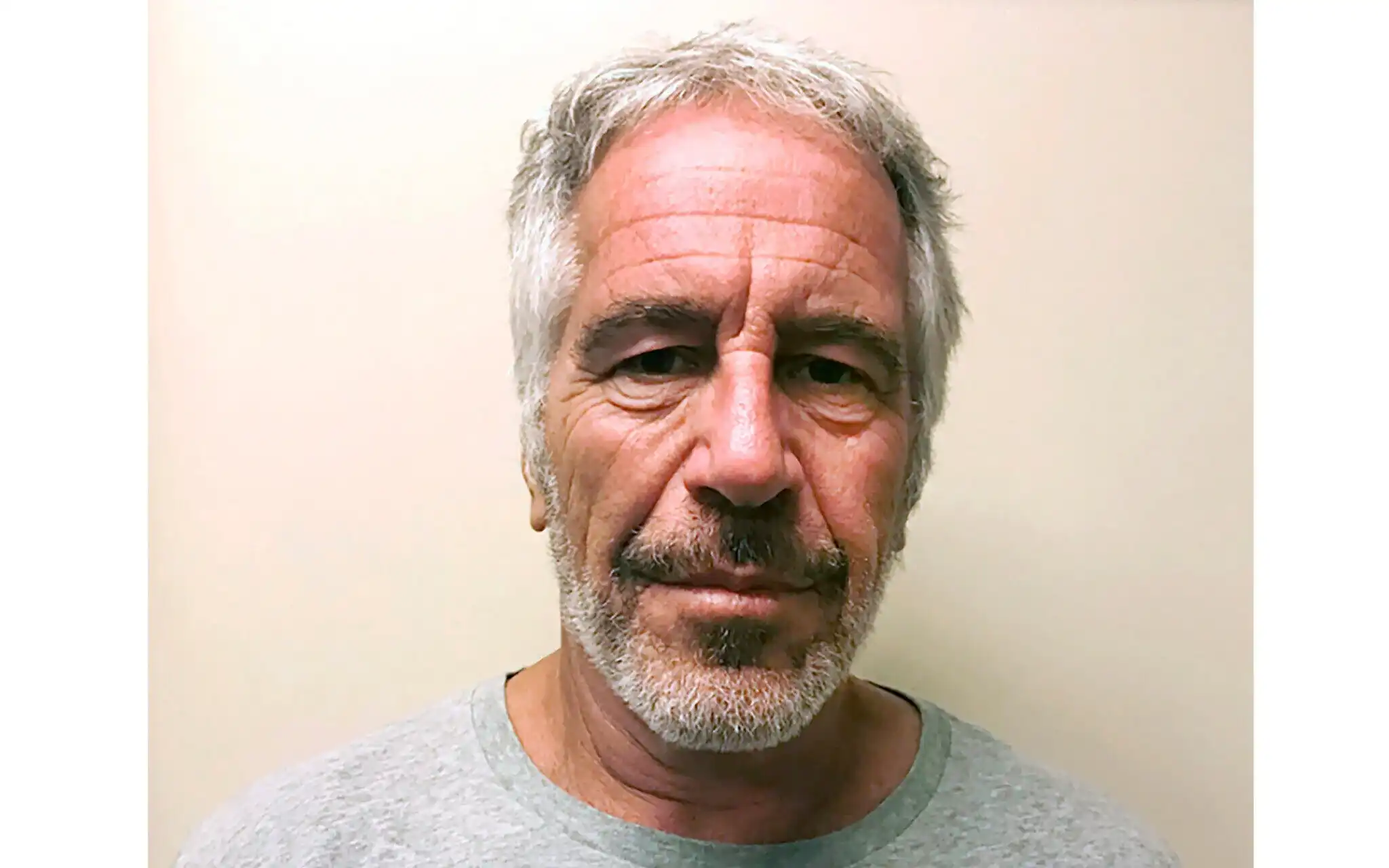 Close-up portrait of Jeffrey Epstein against a plain background.